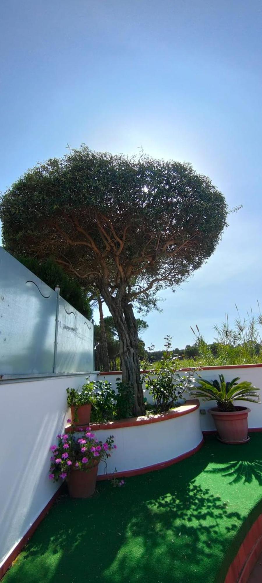 Hotel B&B Marina Capaccio Exteriér fotografie