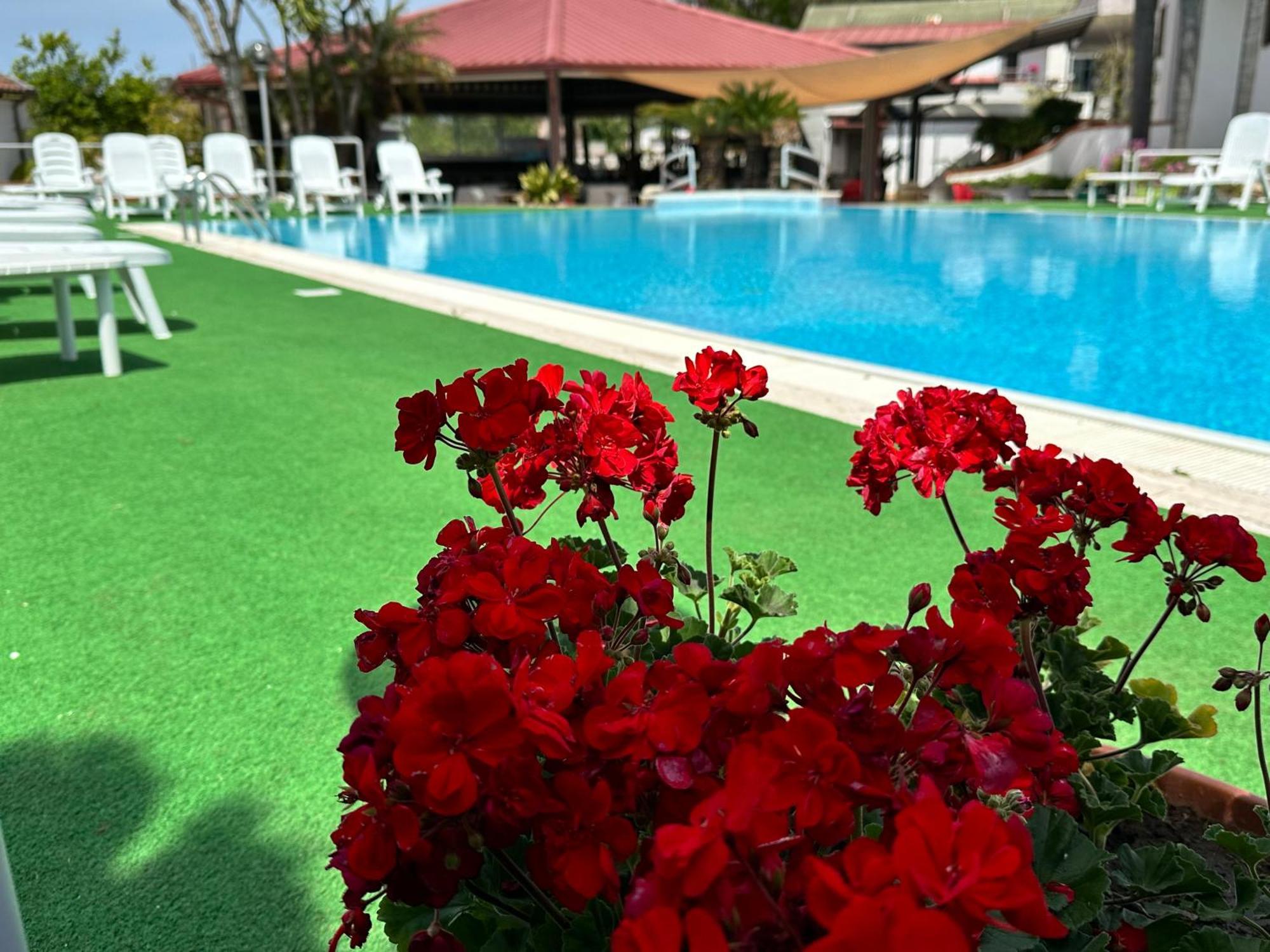Hotel B&B Marina Capaccio Exteriér fotografie