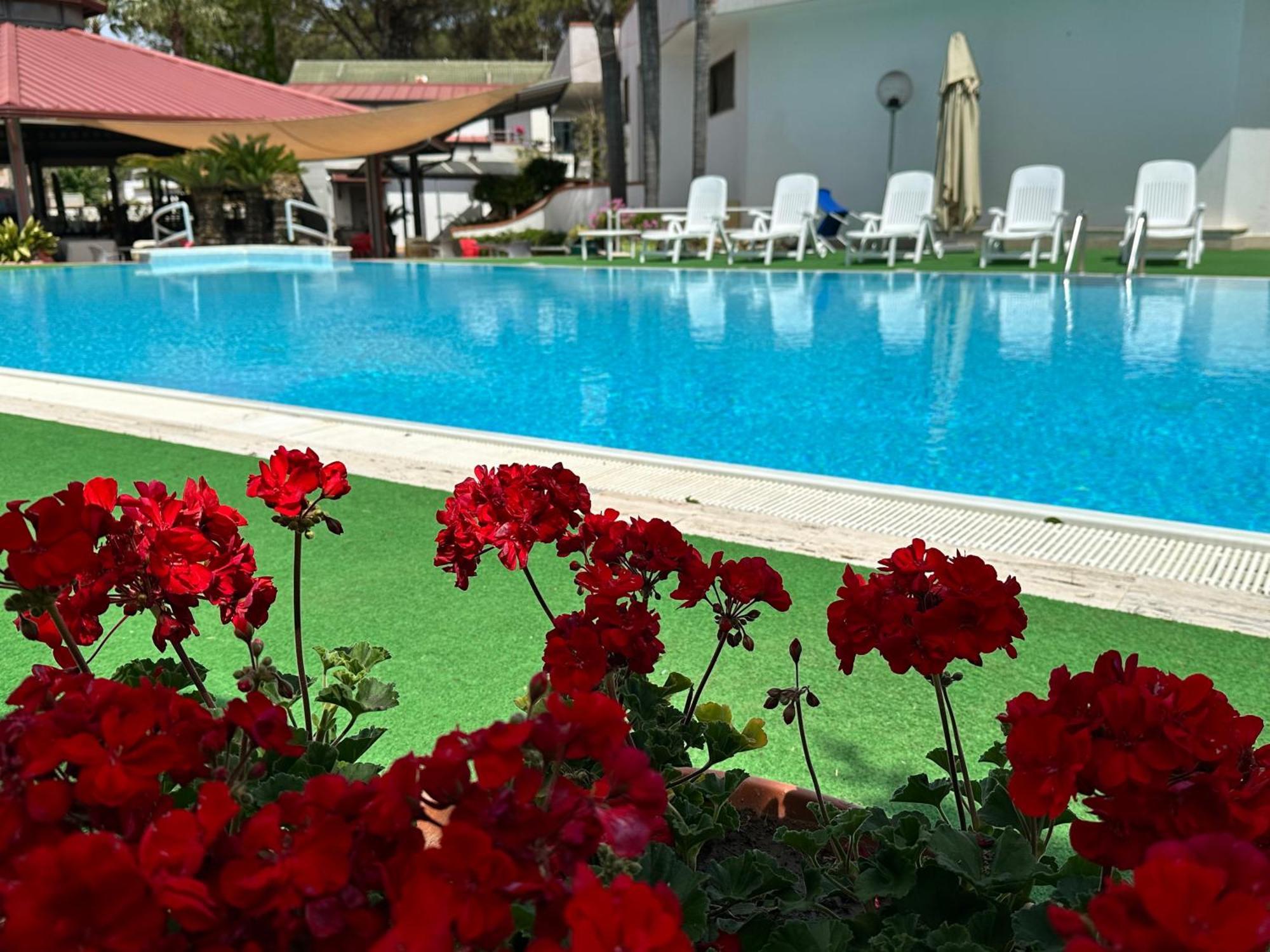 Hotel B&B Marina Capaccio Exteriér fotografie